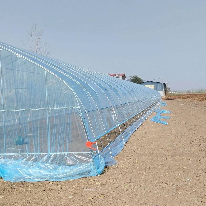 骨架大棚温室大棚支架全套养殖大棚蔬菜骨架大棚连体连栋厂家