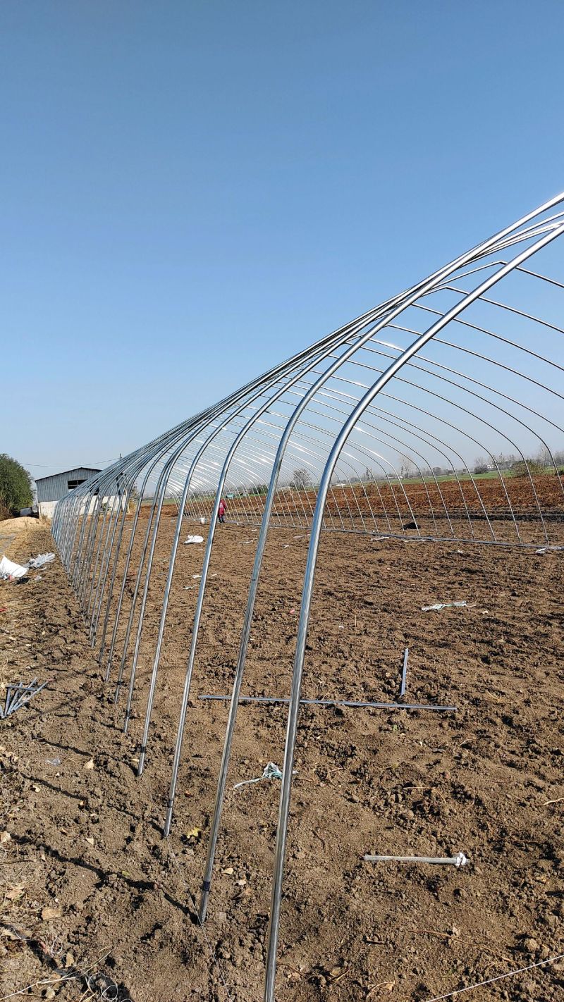 骨架大棚温室大棚支架全套养殖大棚蔬菜骨架大棚连体连栋厂家