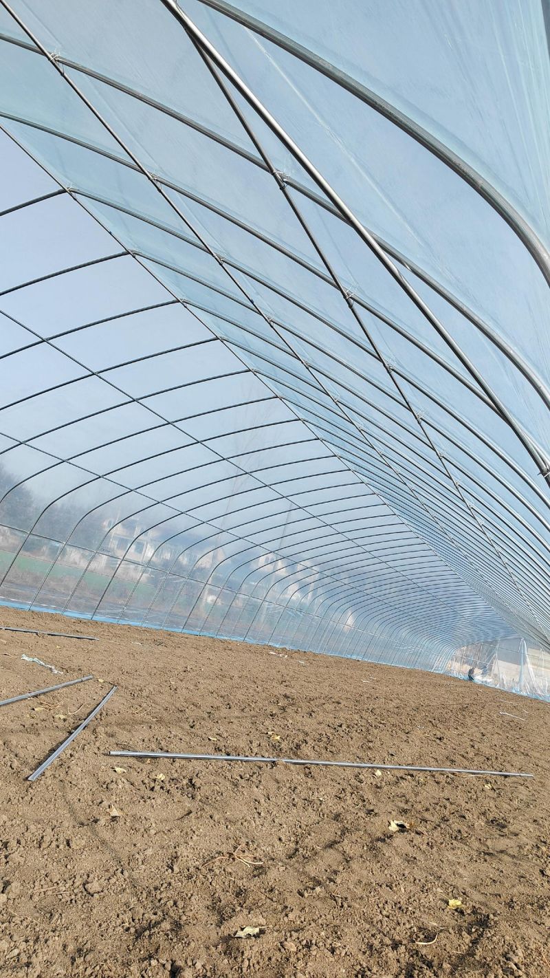 骨架大棚温室大棚支架全套养殖大棚蔬菜骨架大棚连体连栋厂家