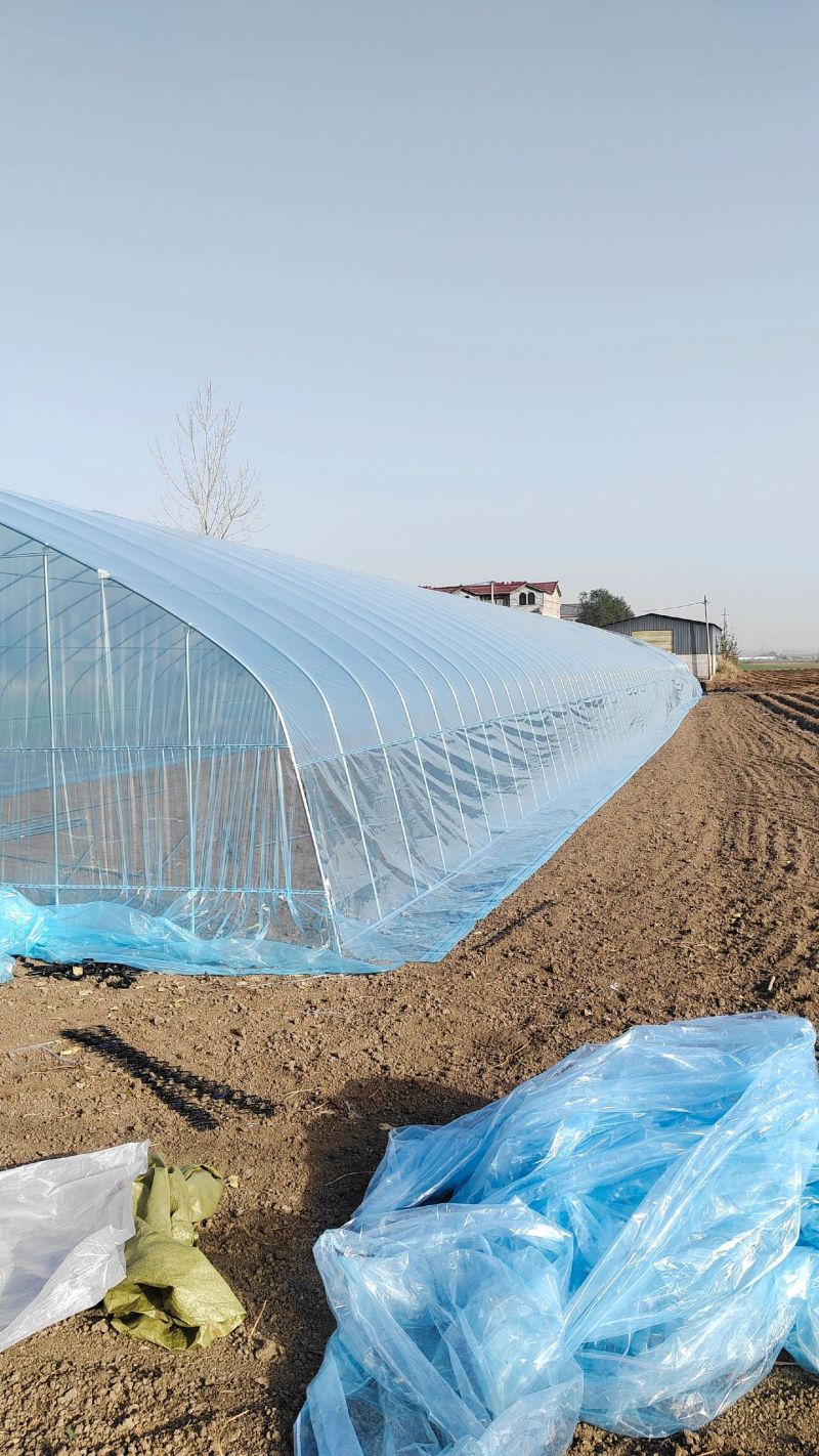 骨架大棚温室大棚支架全套养殖大棚蔬菜骨架大棚连体连栋厂家