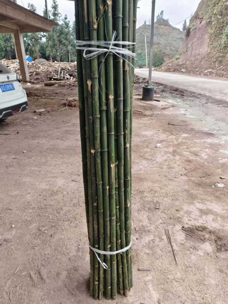 钉钉竹，各种尺寸菜架竹竿！枸杞扶苗竹竿，水果架！