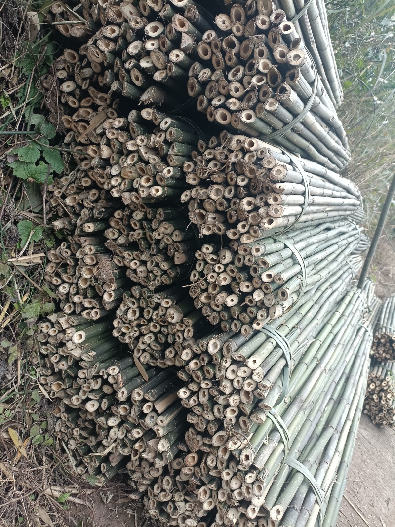 钉钉竹，各种尺寸菜架竹竿！枸杞扶苗竹竿，水果架！