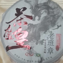 2019九五茶皇