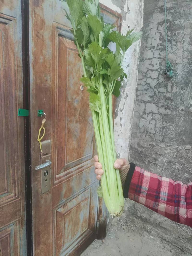 精品