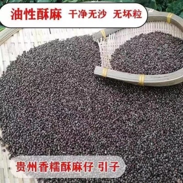 贵州香糯酥麻仔，农家自种