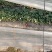 香香甜甜