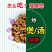 【产地直销】新鲜滑子菇，现采现发炒拌汤味道鲜美