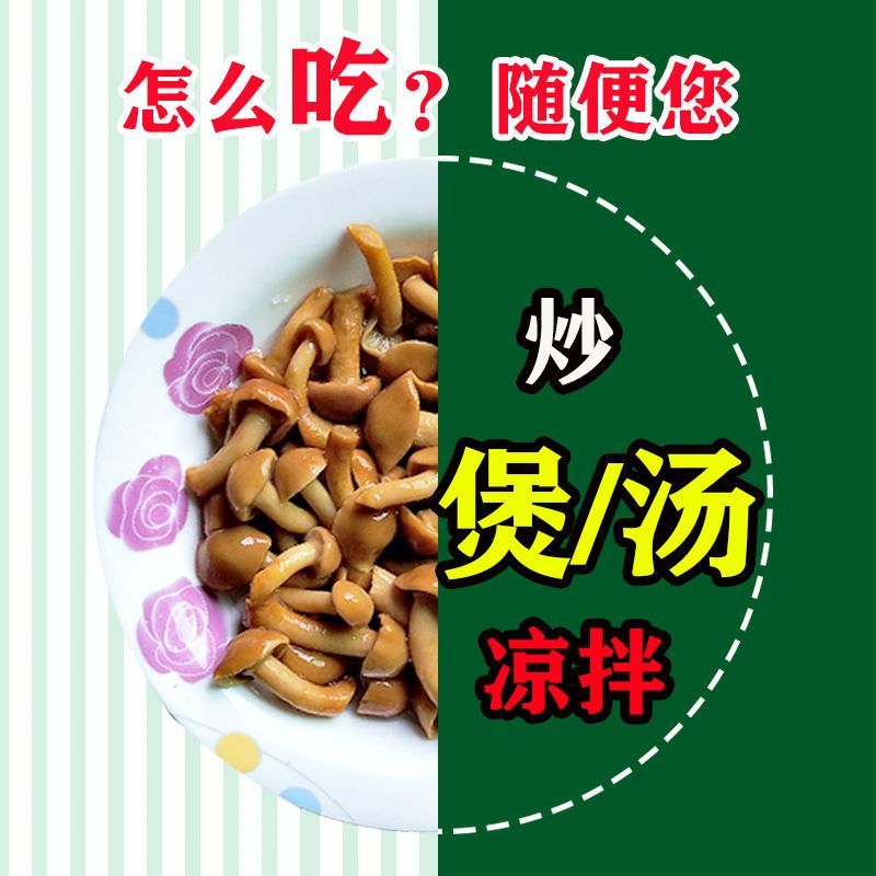 【产地直销】新鲜滑子菇，现采现发炒拌汤味道鲜美