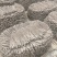 甘肃岷县特级当归药食同源，煲汤必备欢迎来电合作