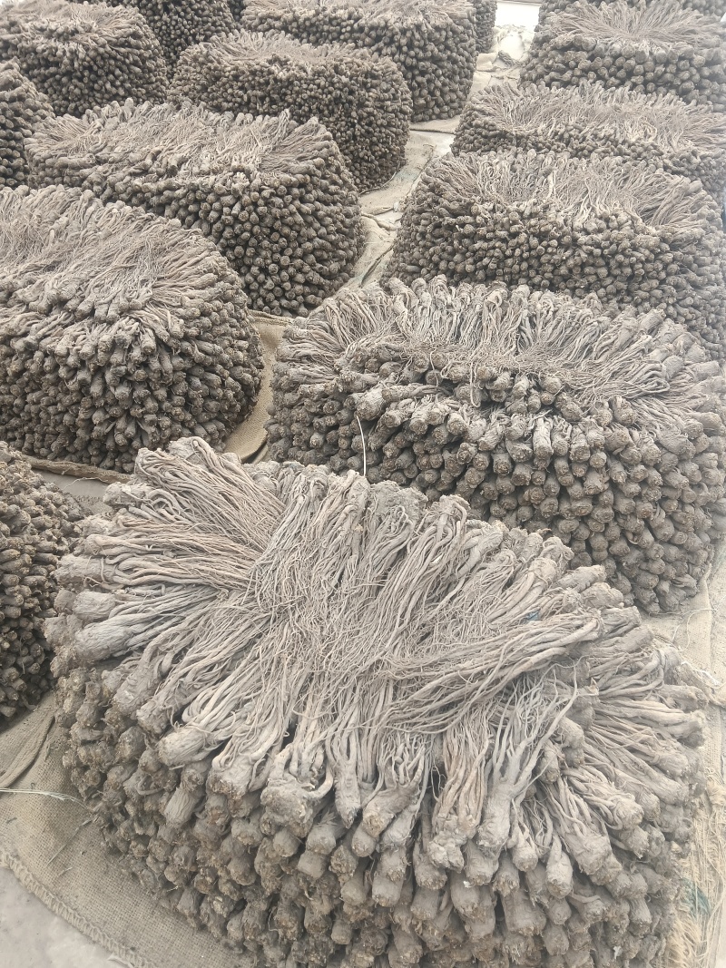 甘肃岷县特级当归药食同源，煲汤必备欢迎来电合作