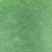马尼拉草皮
