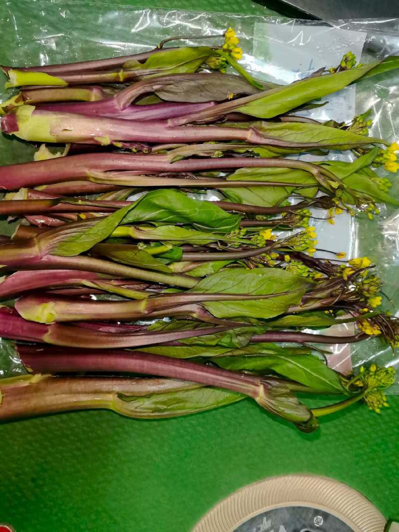 2026年春季菜苔上市供应：市场、电商、工厂