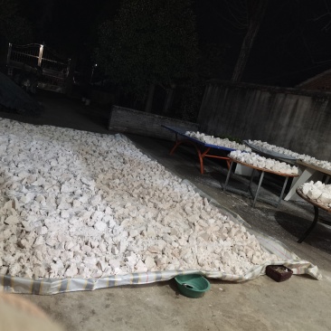 红薯粉量大不议价