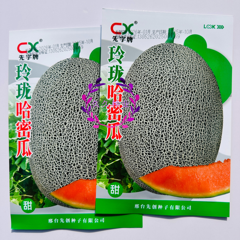 玲珑哈密瓜种子中早熟四季播水果哈蜜瓜甜瓜香瓜阳台蔬菜种籽