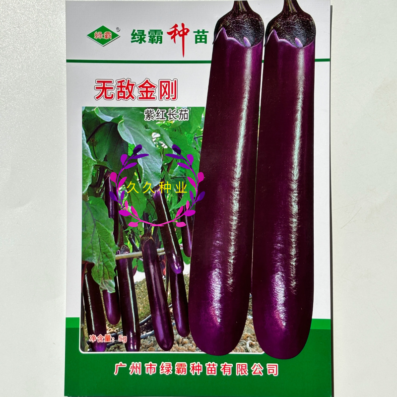 绿霸无敌金刚紫红长茄种子中早熟肉白色果皮深紫红色头尾匀称