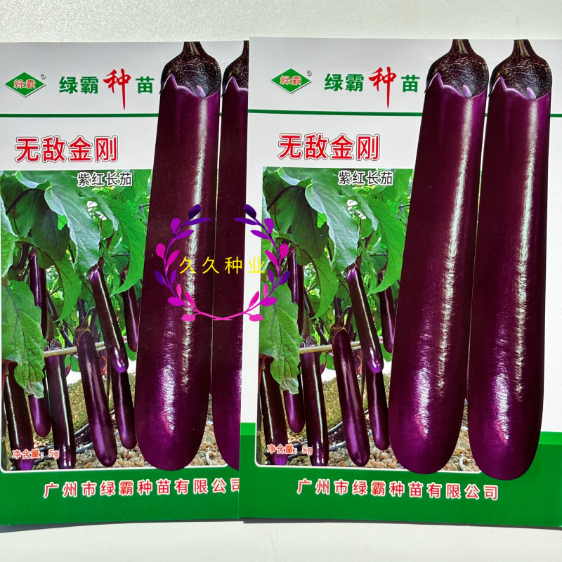 绿霸无敌金刚紫红长茄种子中早熟肉白色果皮深紫红色头尾匀称