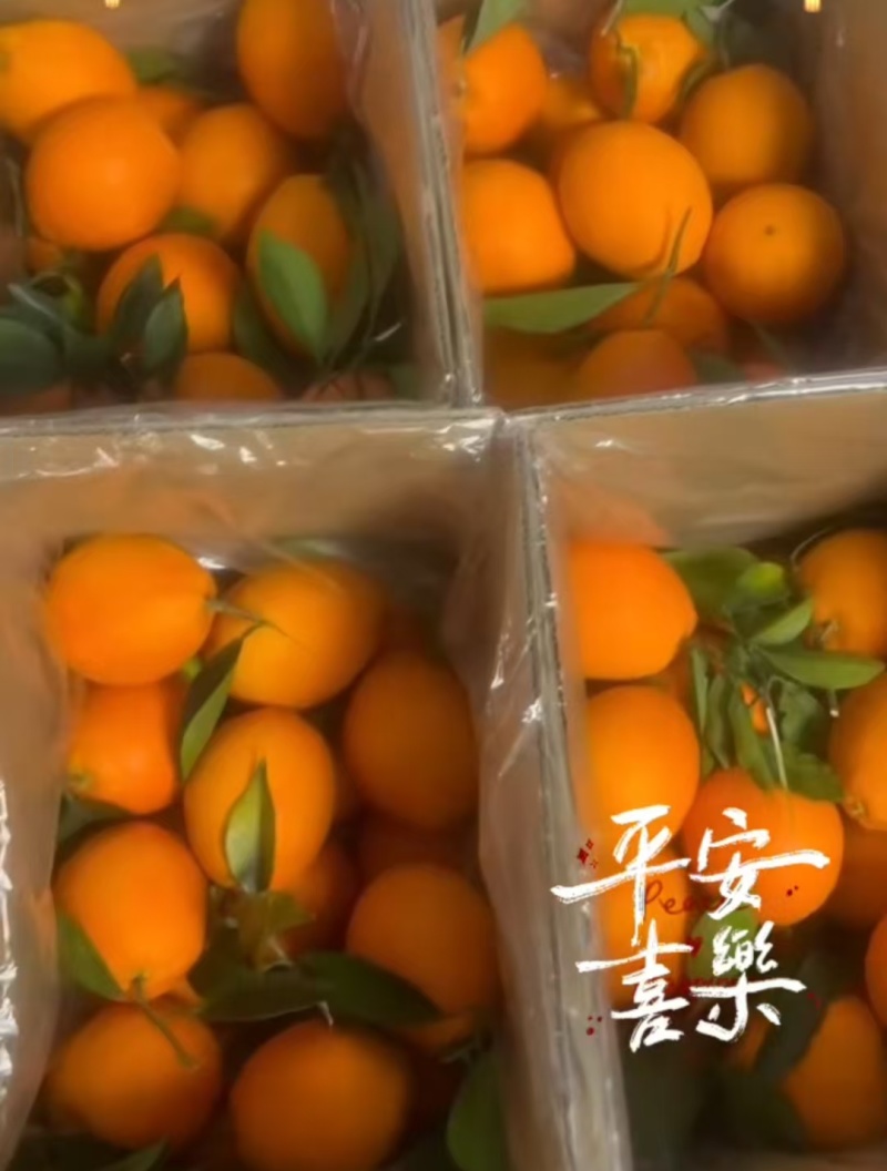 乡村的特产赣南脐橙还剩五千斤左右