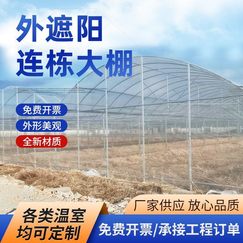 连体大棚钢管蓝莓大棚外遮阳大棚蔬菜大棚花卉大棚大棚钢管厂