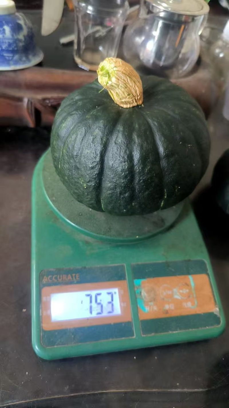 贝贝南瓜