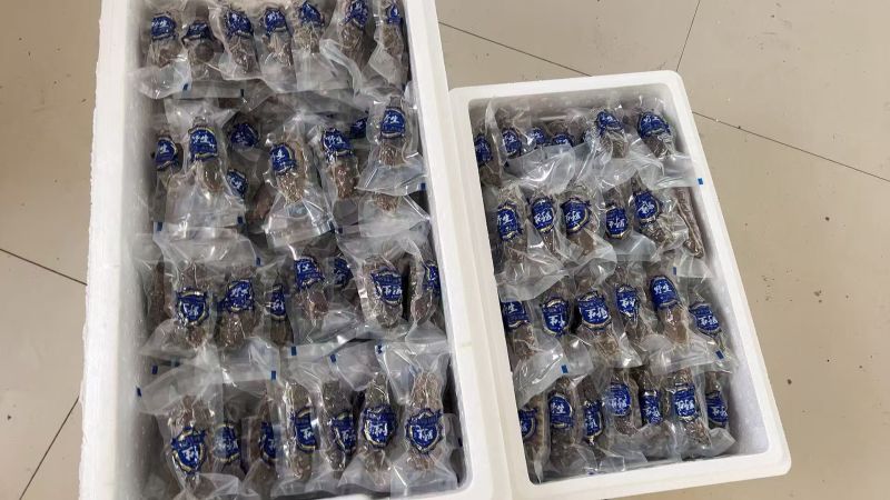 大连精品即食海参辽参