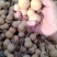 工艺葫芦