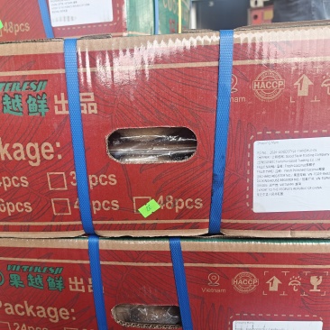 越南椰皇
