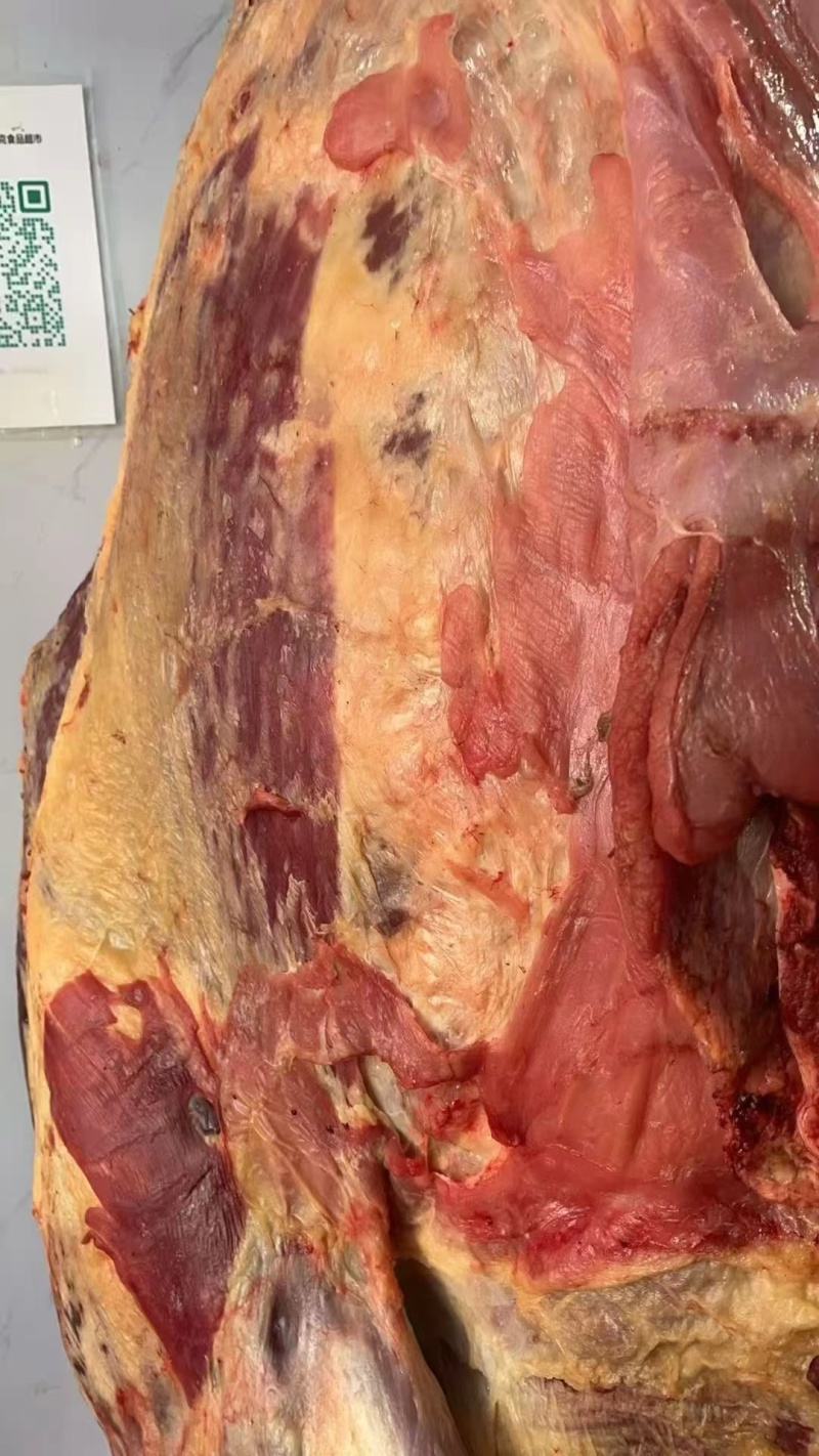 新疆鲜牛肉