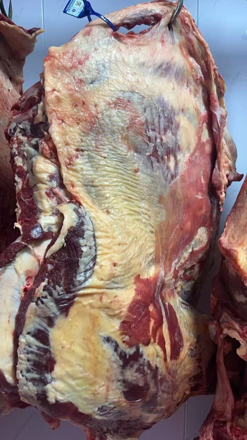 新疆鲜牛肉