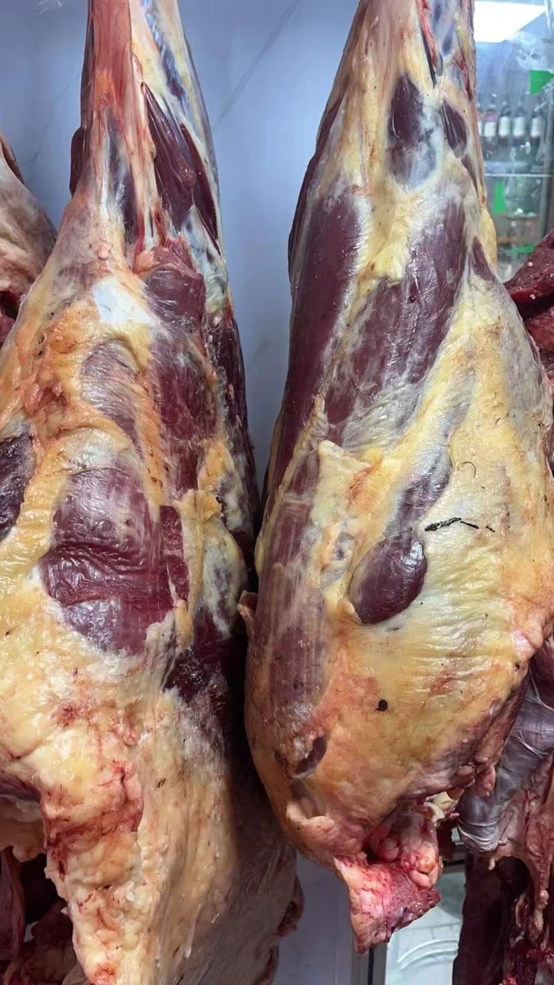 新疆鲜牛肉