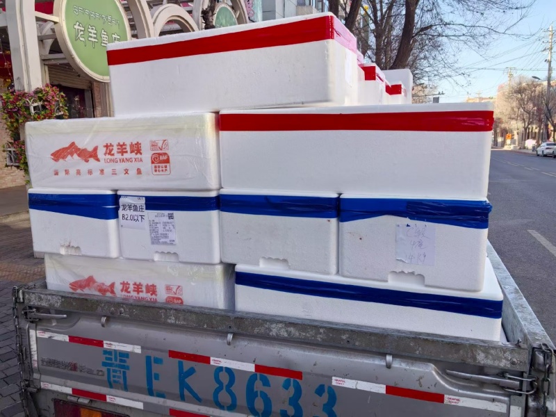 青海龙羊峡三文鱼正在热卖中，欢迎老板选购