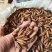 优质白芨果夹白及种现货当年现采育苗种子紫花白及中药材