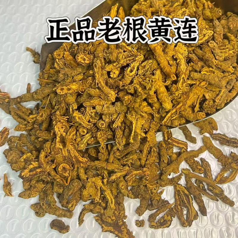 正品无硫黄连四川黄莲鸡爪连切片单支连中药材泡水喝煮水批发