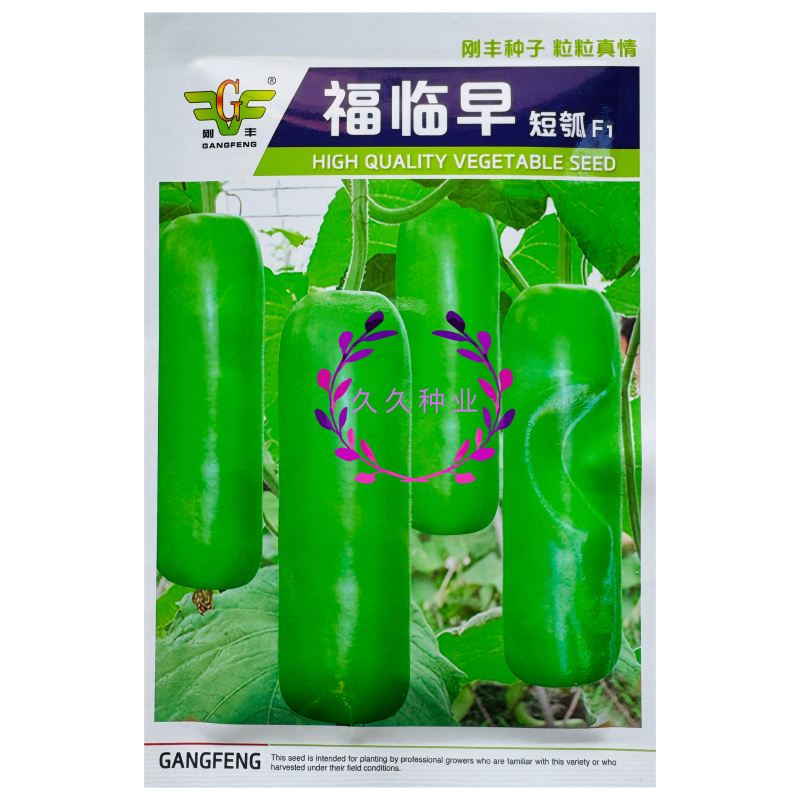福临早短瓠种子早熟油绿多果高产抗病农家春秋播种精选瓠瓜种