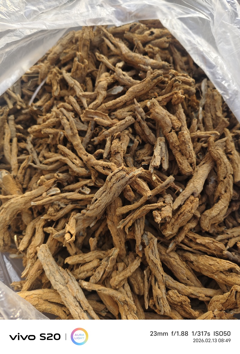 地骨皮
