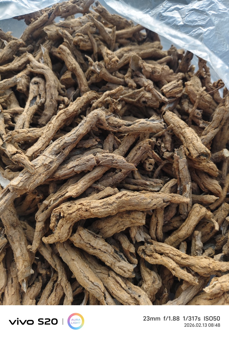 地骨皮