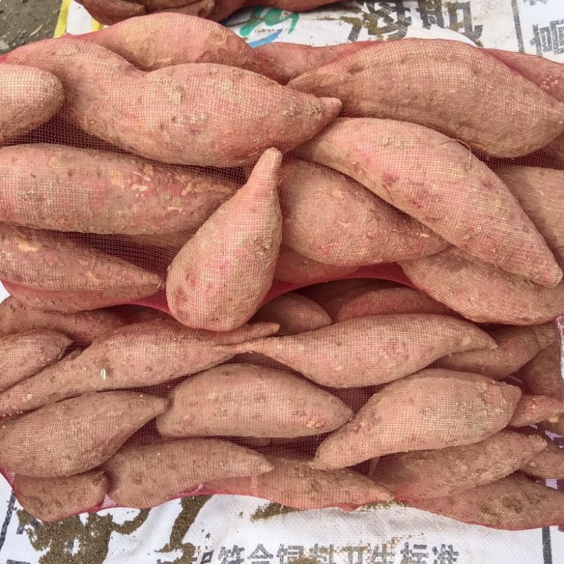 西瓜红