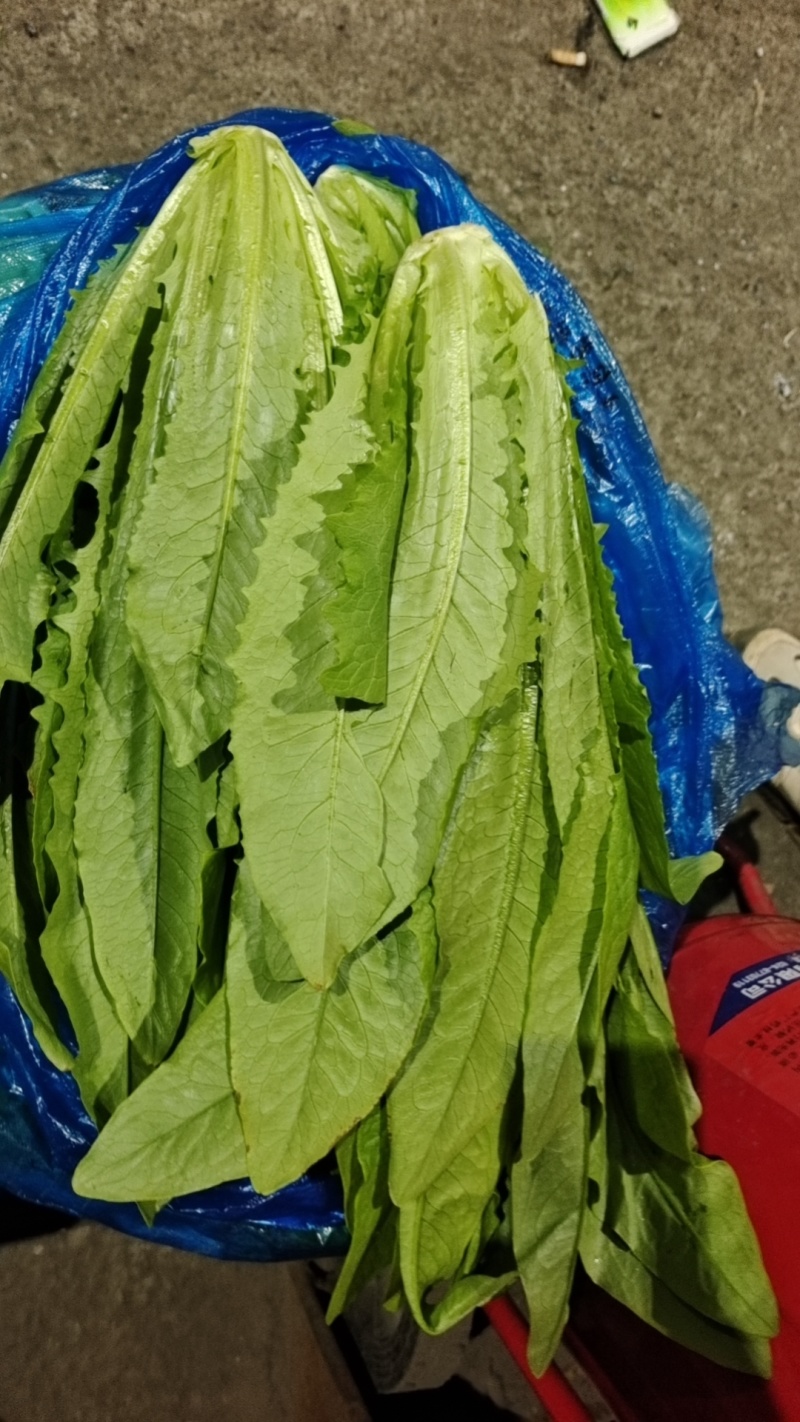 【实力商家】产地直发【保质保量】诚信经营【量大从优】油麦
