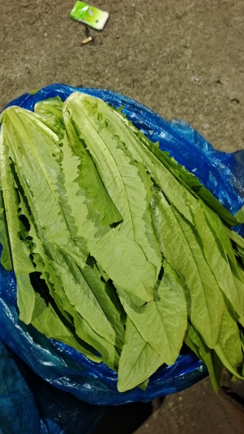 【实力商家】产地直发【保质保量】诚信经营【量大从优】油麦