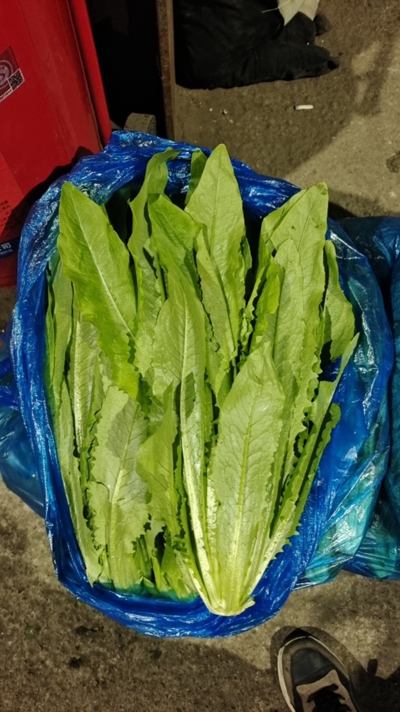 【实力商家】产地直发【保质保量】诚信经营【量大从优】油麦