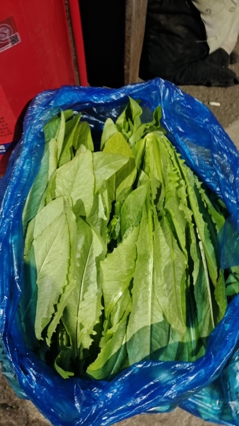 【实力商家】产地直发【保质保量】诚信经营【量大从优】油麦