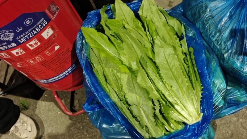 【实力商家】产地直发【保质保量】诚信经营【量大从优】油麦