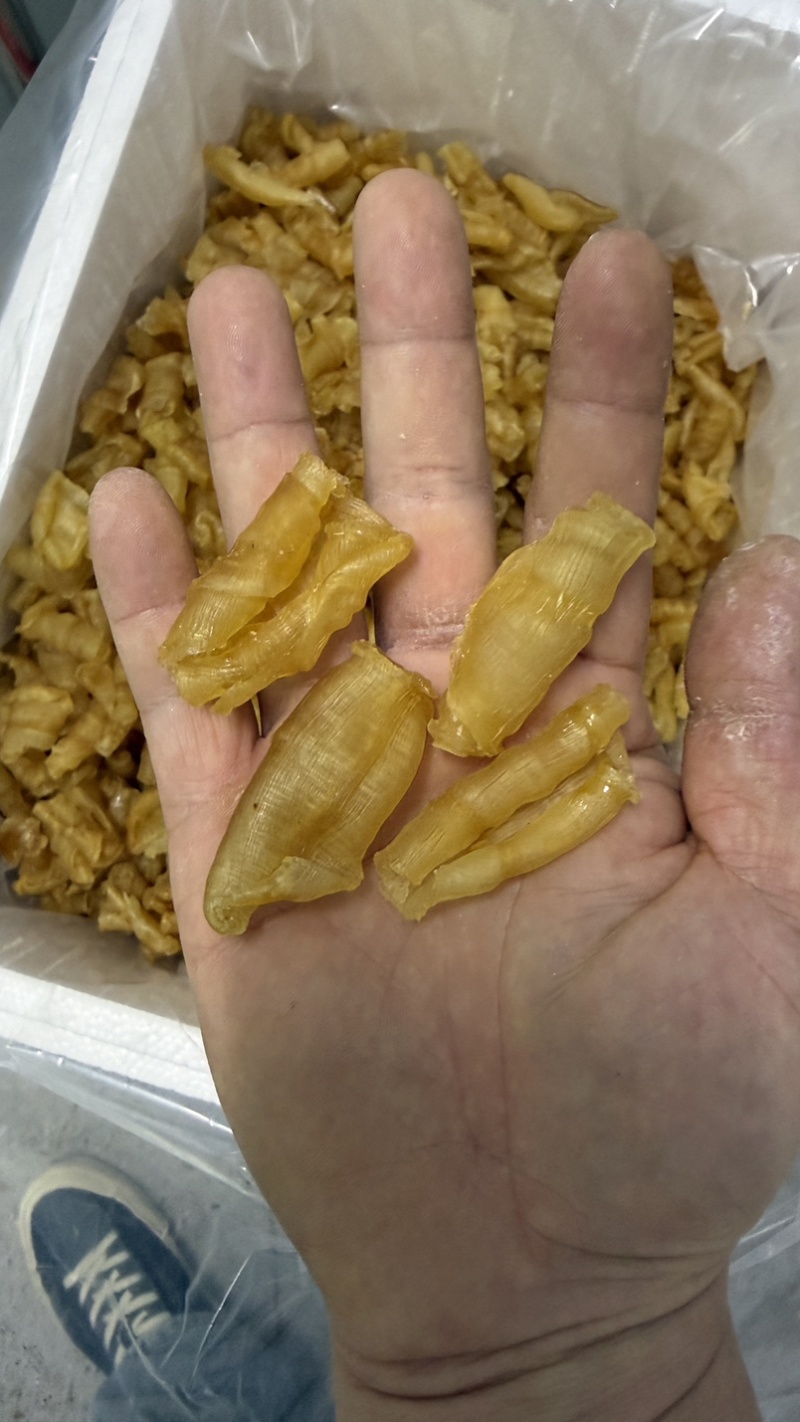 凤尾胶规格齐全资质齐全有量有价