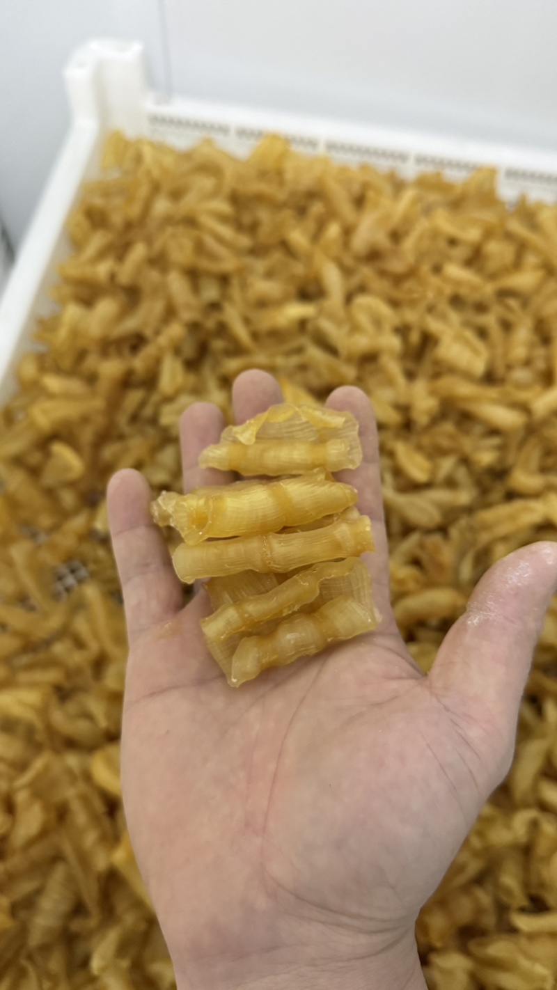凤尾胶规格齐全资质齐全有量有价