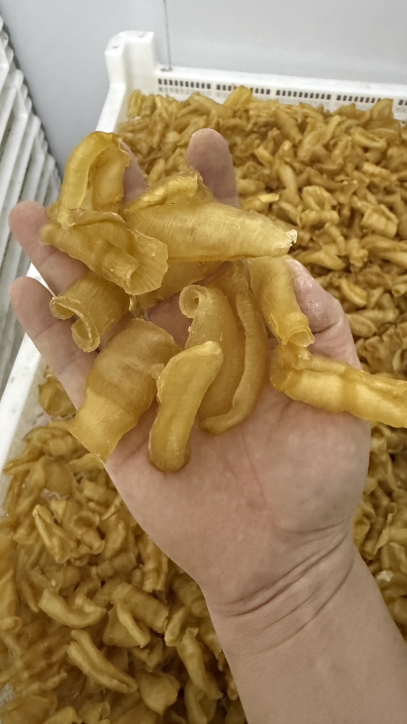 凤尾胶规格齐全资质齐全有量有价可定做