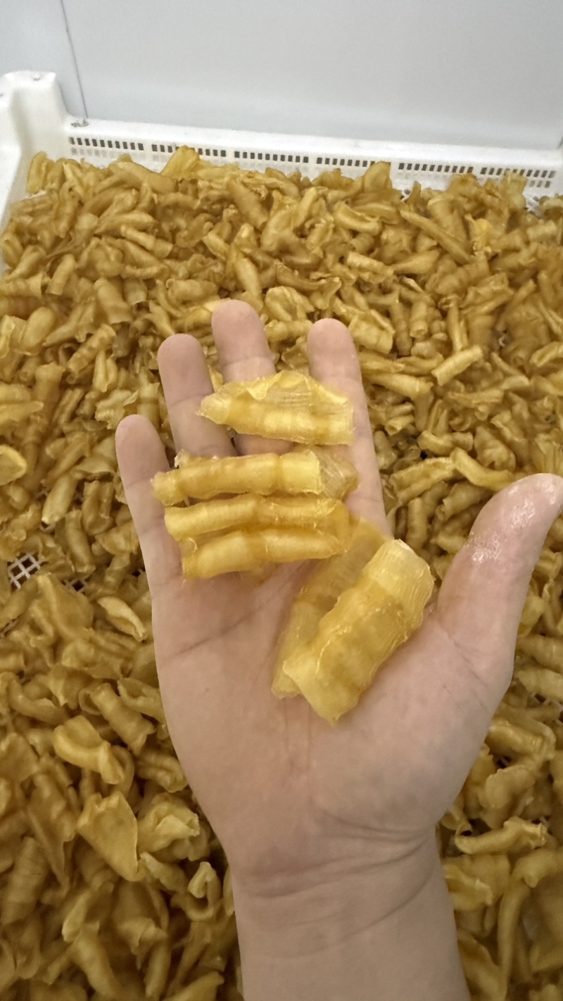 凤尾胶规格齐全资质齐全有量有价可定做