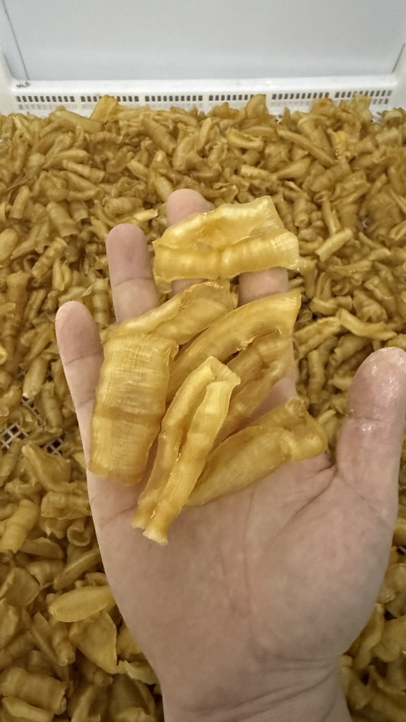 凤尾胶规格齐全资质齐全有量有价可定做