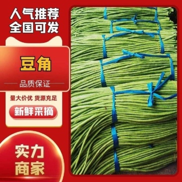 【实力商家】产地直发【诚信经营】质量上乘【价格合理】豆角