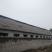 猪场出租急需出租场地，地处河南内乡，猪场占地约6亩，设备