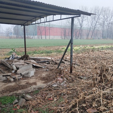 猪场出租急需出租场地，地处河南内乡，猪场占地约6亩，设备