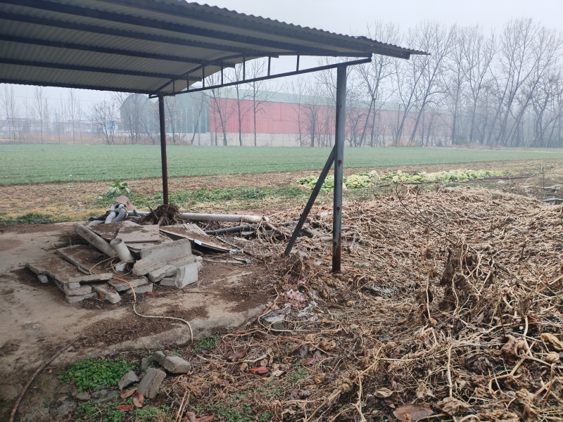 猪场出租急需出租场地，地处河南内乡，猪场占地约6亩，设备